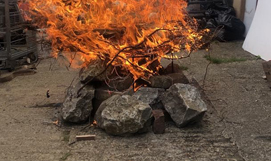 Daisy's Cremation